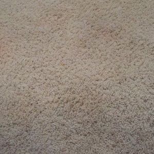 Meet your Posher, Steph